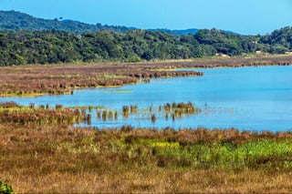 iSimangaliso Wetland Park in Zululand, KwaZulu Natal, South Africa
